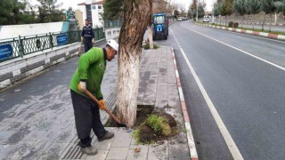 Siirtte park ve bahçelerde temizlik ve bakım çalışmaları başlatıldı