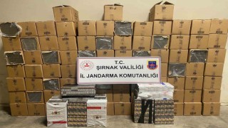 Şırnakta 48 bin 900 paket gümrük kaçağı sigara ele geçirildi