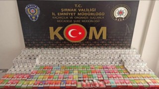 Şırnakta asayiş ve kaçakçılık operasyonu: 41 gözaltı