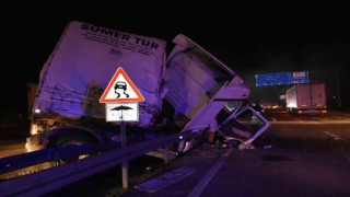 Şoför önüne çıkan hayvana çarpmamak için manevra yaptı, tır devrildi