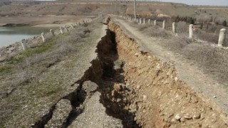Sultansuyu Barajında ürküten görüntü