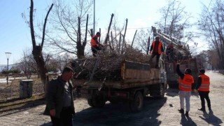 Tatvanda park ve bahçelerde bahar temizliği