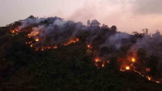 Taylandda yıldırım düşmesi sonucu milli parkta yangın çıktı