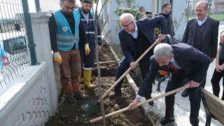 Tekkeköyde binlerce fidan toprakla buluştu