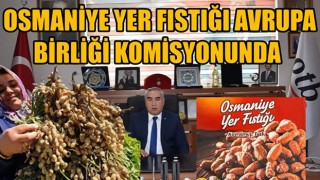 Ticaret Borsası Başkanı Çenet: "Osmaniye Yer Fıstığı Avrupa Birliği Komisyonunda"