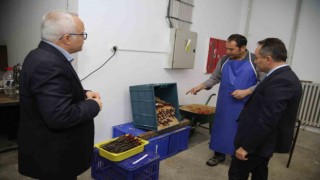 TOGÜ 10 bin adet tüplü aşılı asma fidanı üretecek