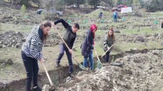 Tokatta “Deprem şehitleri hatıra ormanına” 2 Bin fidan dikildi