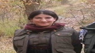 Türkiyedeki sözde en üst düzey terörist Hamiyet Yalçınkayanın karanlık geçmişi