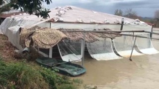 Turuncu kodla uyarılan Antalyada tarlalar ve yollar göle döndü