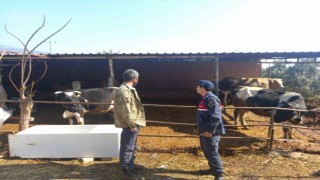 Üreticiler, hırsızlar ve dolandırıcılara karşı bilgilendirildi