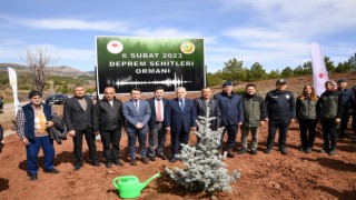 Uşakta Deprem Şehitleri Ormanında ilk fidanlar toprakla buluştu