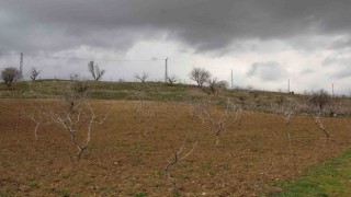 Uykuları kaçan çiftçinin yüzünü son günlerdeki yağışlar güldürdü