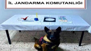 Uyuşturucu operasyonunda 2 kişi tutuklandı