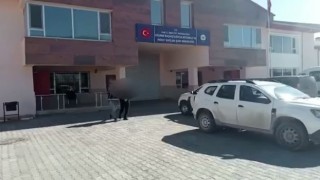 Vanda 2 organizatör tutuklandı