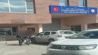 Vanda 3 organizatör tutuklandı