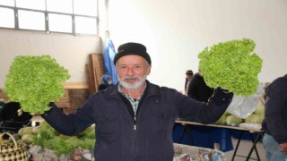 Yakacık Köyü Muhtarı Yıldırım: Üretici değil aracı para kazanıyor