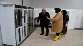 Yalovalı kadınların ürettiği yöresel ürünler dünya pazarına açılıyor