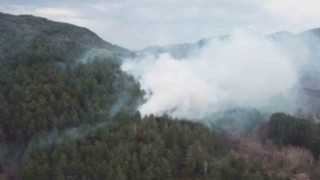 Yol kenarına atılan sigara izmariti ormanlık alanda yangın çıkardı