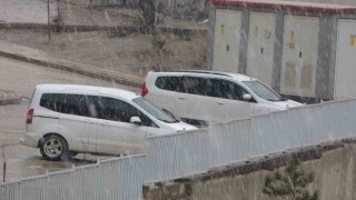 Yüksekovada kar yağışı