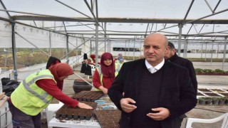 Yüz binlerce bitkiyi gözü gibi bakarak büyütüyorlar