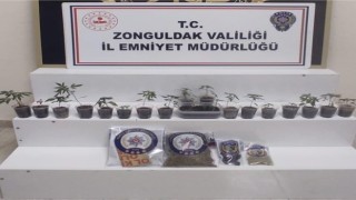 Zonguldakta uyuşturucu operasyonu: 1 gözaltı