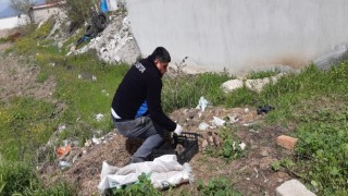 11 yavru köpek ölüme terk edildi: Ağzı bağlı çuvaldan çıktılar