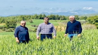110 bin dekar hububat ekili alanda 50 bin ton buğday ve arpa rekoltesi bekleniyor
