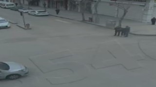360 saatlik kamera görüntüsünü inceleyen polis şüpheli şahsı caddede yakaladı