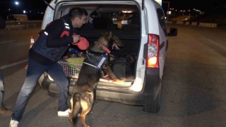 43 ilin geçiş güzergahında gece yarısı narkotik köpekli denetim: Araçlar didik didik arandı