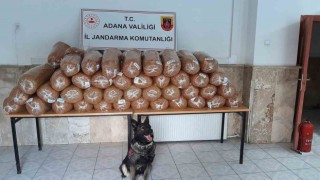 Adanada 925 kilogram kaçak tütün ele geçirildi