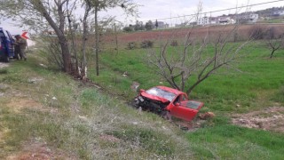 Ağaca çarpan otomobil şarampole yuvarlandı