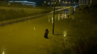 Araçlar yağmur sularının içinde kaldı