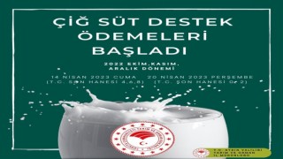 Aydında çiğ süt destekleme ödemeleri başladı