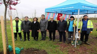 Azerbaycan ve Türkiye Kardeşliği Ormanına Haydar Aliyevin anısına 100 fidan