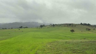 Baharda sisle buluşan Ilgaz Dağının eteklerinde ortaya çıkan manzara mest etti