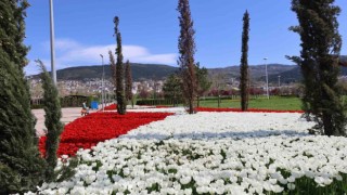 Baharın tüm renkleri Bursayı sardı