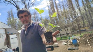 Bahçesinde 300 bin doğal fide üretip Türkiyenin her yerine gönderiyor
