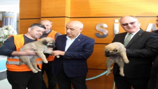 Bakan Kirişci: “Sivasımızı tarımsal üretimde ilk sıraya yerleştireceğiz”