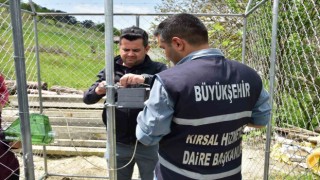 Balıkesir Büyükşehirden çiftçiye koruma kalkanı