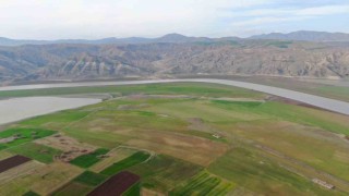 Baraj sahasını eken çiftçiler: Sular gelirse her şey gider