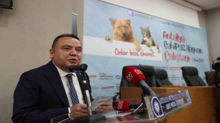 Başkan Böcek: “Sokak hayvanlarına desteğimiz sürecek”