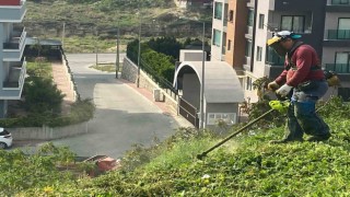 Başkan Yılmaz: Tertemiz Toroslar için çalışıyoruz