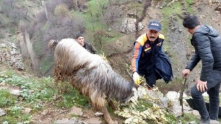 Batmanda kayalıklarda mahsur kalan 6 keçi kurtarıldı