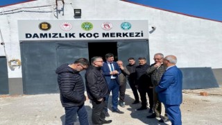 BAÜNde Balıkesir Hayvancılığı için iş birliği