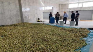 Bayburtta belediyenin kurduğu fabrika hem işçiye hem çiftçiye kazandırıyor