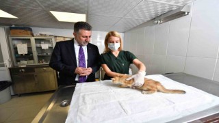 Bayraklıdaki can dostlara özel klinik
