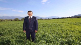 Belediyenin buğdayları ihtiyaç sahiplerine un olacak