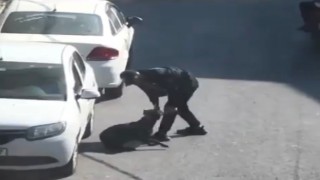 Beyoğlunda köpeğe eziyet eden şahıs gözaltına alındı