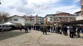 Bingölde 10 bin fidan dağıtıldı