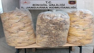 Bingölde 150 kilo yaprak tütün ele geçirildi